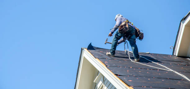 Best Storm Damage Roof Repair  in Bowling Green, KY
